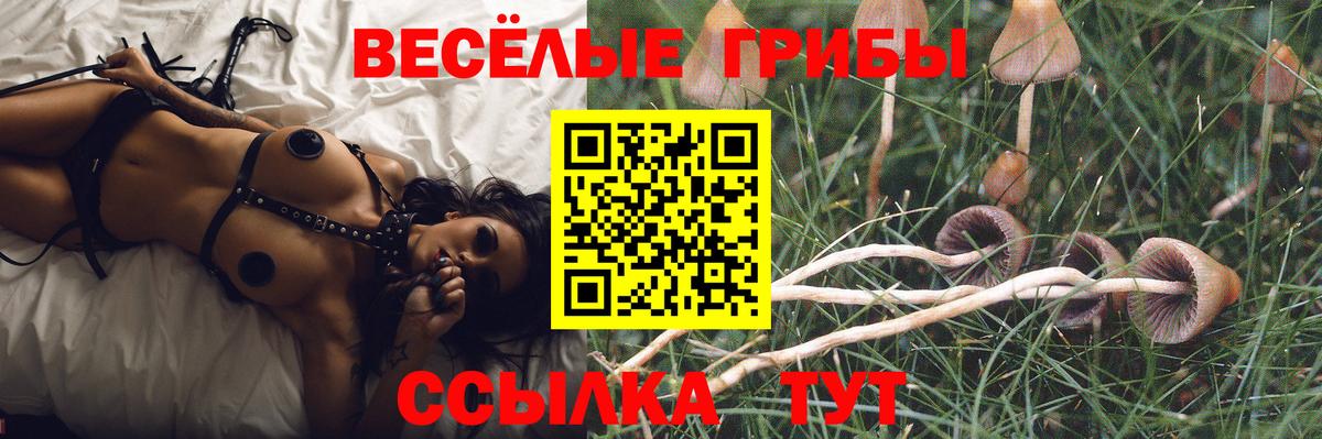 Галлюциногенные грибы Magic Shrooms  Псилоцибиновые грибы Cubensis  Лянтор  Вход с VPN 